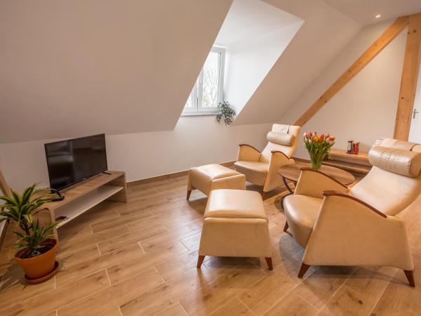 Hotel Ludwig : photo 6 de la chambre appartement 1 chambre