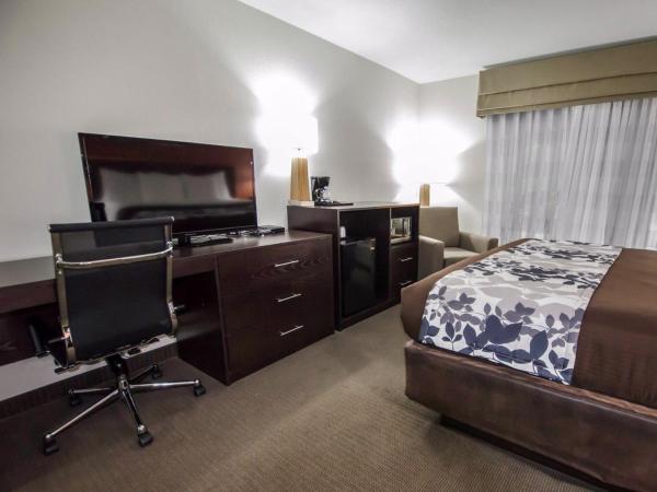 Sleep Inn & Suites And Conference Center Downtown : photo 6 de la chambre chambre lit king-size standard - non-fumeurs 