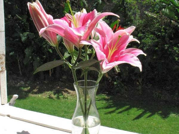 Villa Laurinda : photo 5 de la chambre chambre double standard