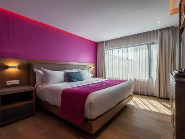 FCH Hotel Providencia : photo 3 de la chambre suite deluxe avec baignoire spa