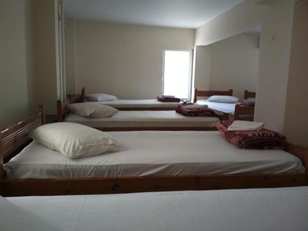 Pella Inn Hostel : photo 2 de la chambre lit superposé dans dortoir mixte