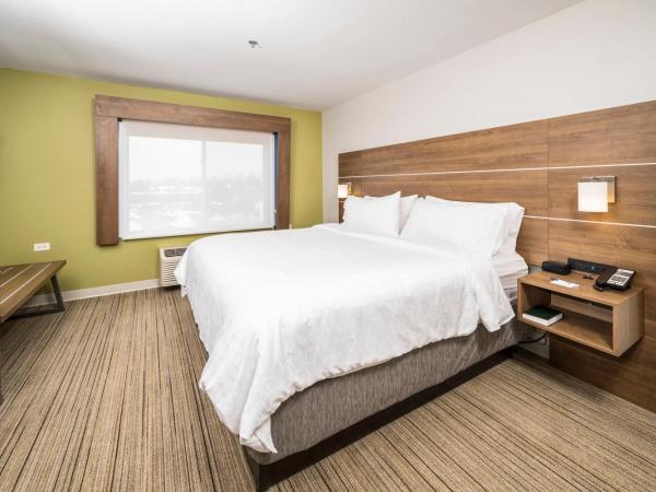 Holiday Inn Express Indianapolis South, an IHG Hotel : photo 9 de la chambre standard king room with roll-in shower - communications access