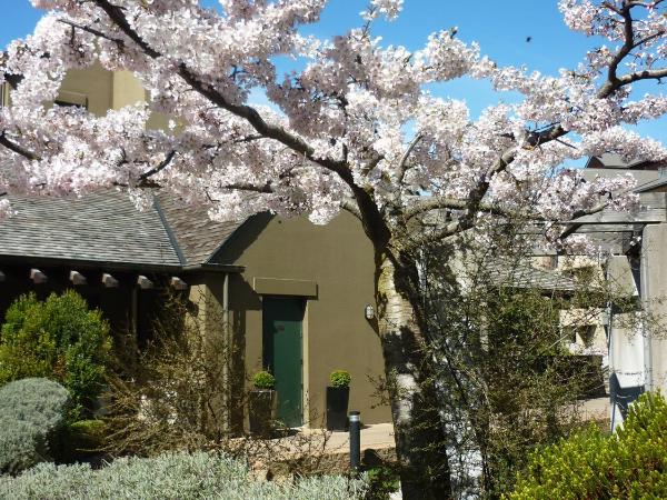 Heritage Queenstown : photo 3 de la chambre chambre deluxe familiale sans vue sur lac