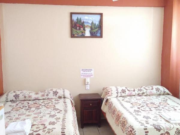 Hotel y Bungalows Olivares : photo 7 de la chambre bungalow standard