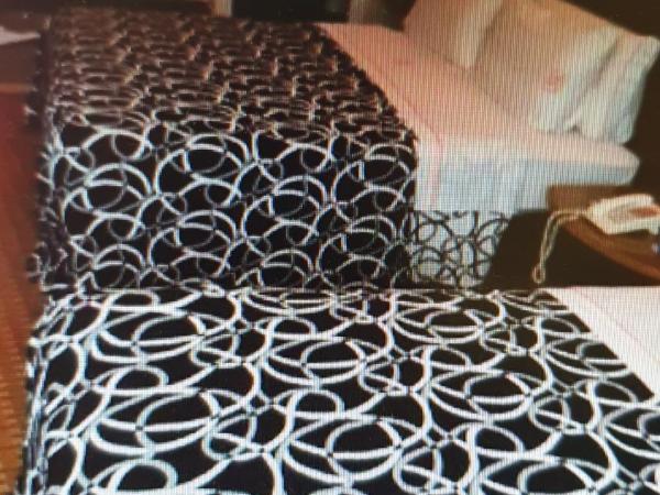 HOTEL VALLE DEL SUR : photo 3 de la chambre chambre lits jumeaux