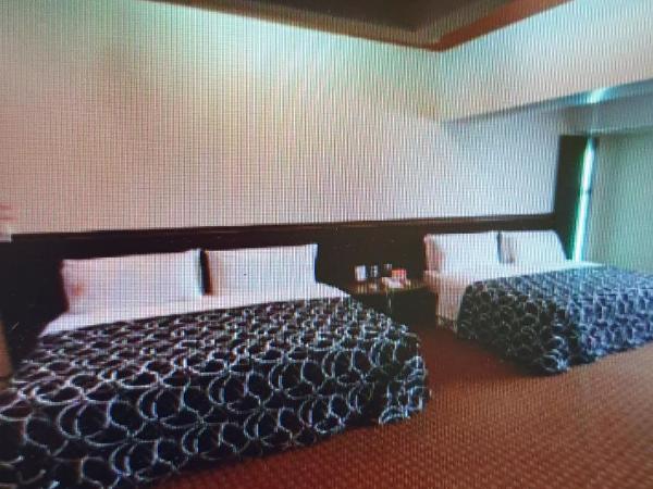 HOTEL VALLE DEL SUR : photo 4 de la chambre chambre lits jumeaux