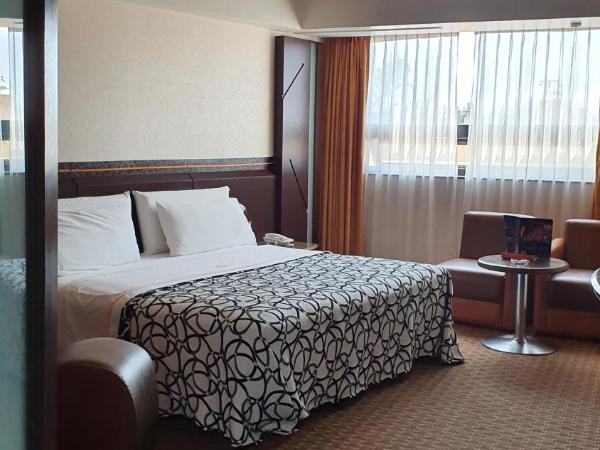 HOTEL VALLE DEL SUR : photo 3 de la chambre suite