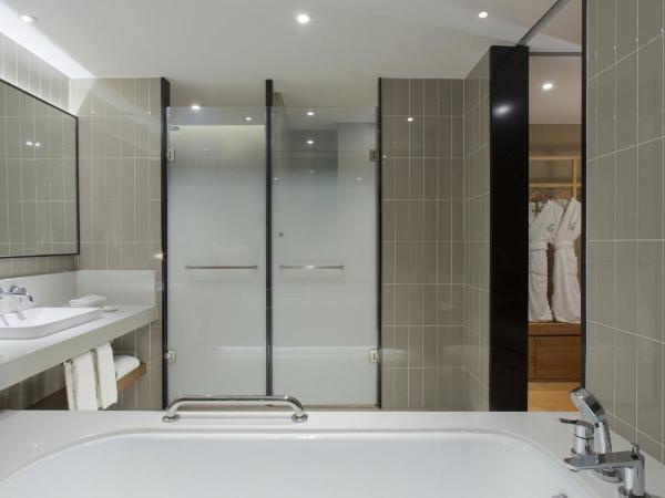 Holiday Inn & Suites Tianjin Downtown, an IHG Hotel : photo 2 de la chambre suite 1 chambre - vue sur ville