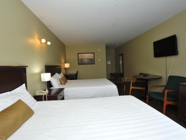 Hotel Le Voyageur : photo 9 de la chambre chambre double standard