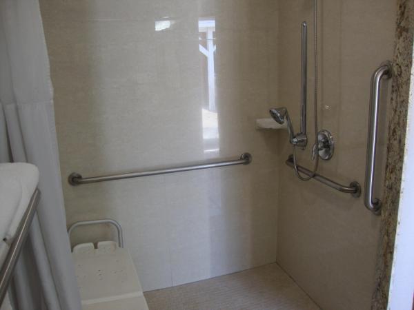 Oasis Inn Sacramento- Elk Grove : photo 3 de la chambre chambre lit queen-size - accessible aux personnes à mobilité réduite