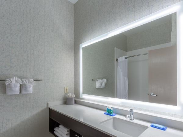 Holiday Inn Express Columbus - Ohio Expo Center, an IHG Hotel : photo 2 de la chambre standard king room with extra floor space