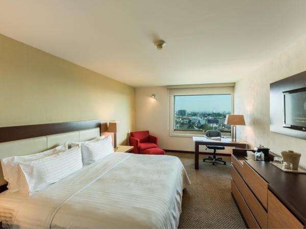 Holiday Inn Guadalajara Select, an IHG Hotel : photo 2 de la chambre standard king room with shower bath