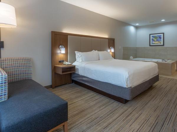 Holiday Inn Express - Indianapolis - Southeast, an IHG Hotel : photo 4 de la chambre suite lit king-size – non-fumeurs