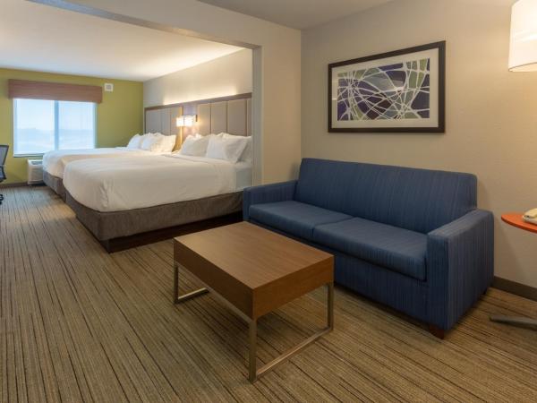 Holiday Inn Express - Indianapolis - Southeast, an IHG Hotel : photo 2 de la chambre suite lit king-size – non-fumeurs