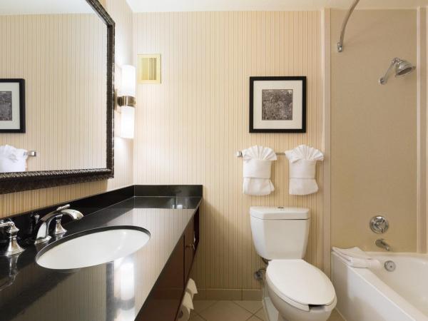 Holiday Inn Sacramento Downtown-Arena, an IHG Hotel : photo 4 de la chambre chambre lit king-size premium - Étage Élevé