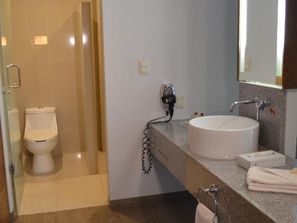 Plaza Camelinas Hotel : photo 1 de la chambre chambre double exécutive