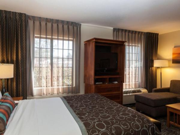 Staybridge Suites Colorado Springs North, an IHG Hotel : photo 2 de la chambre suite studio