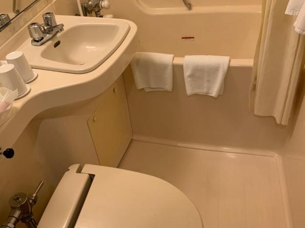 Bandai Silver Hotel : photo 6 de la chambre chambre triple avec espace tatami