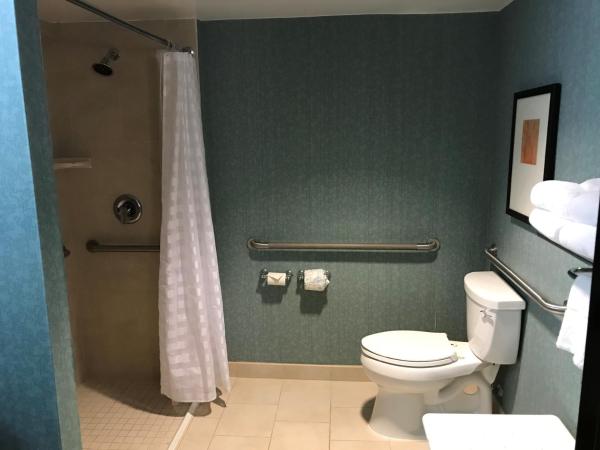 Hyatt Place Fort Lauderdale Cruise Port & Convention Center : photo 4 de la chambre chambre lit queen-size avec canapé-lit et baignoire -  accessible aux personnes à mobilité réduite