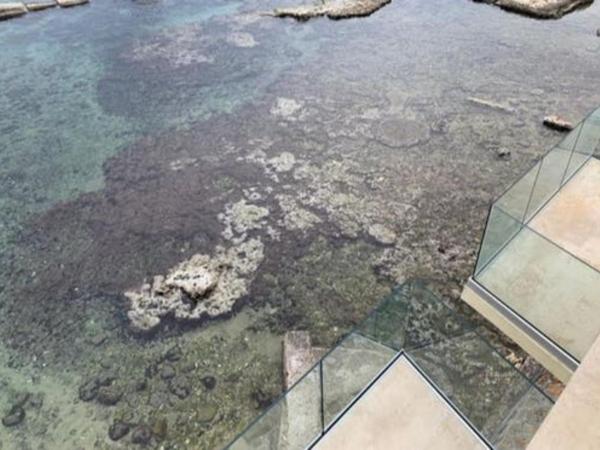 Re Dionisio Luxury Suites : photo 7 de la chambre suite penthouse