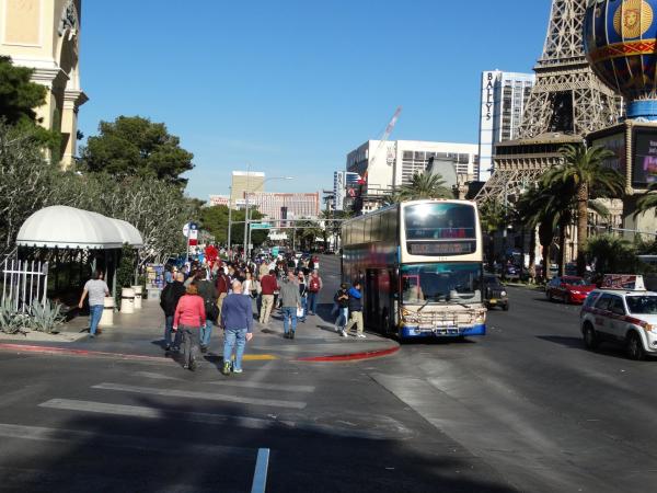 Suites at Jockey Club (No Resort Fee) : photo 10 de la chambre suite 1 chambre