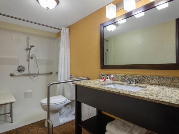 Ramada by Wyndham Tampa Westshore Airport South : photo 3 de la chambre chambre lit king-size avec baignoire - accessible aux personnes à mobilité réduite/malentendantes - non-fumeurs