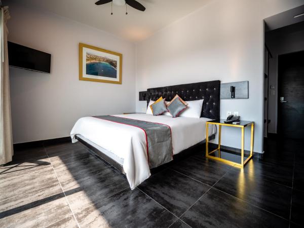 Hotel DC Boutique & SPA : photo 1 de la chambre chambre lit king-size deluxe