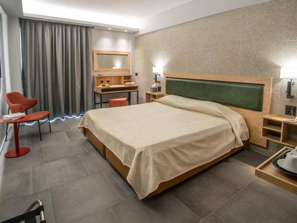 Palmyra Beach Hotel : photo 2 de la chambre chambre double ou lits jumeaux supérieure - vue sur jardin ou ville