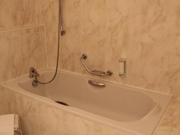 Parkhotel Richmond : photo 1 de la chambre standard single room with pool and wellness access