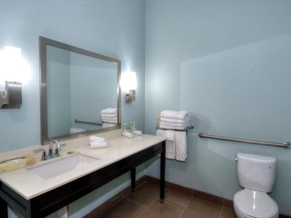 Holiday Inn Express & Suites Austin South, an IHG Hotel : photo 3 de la chambre chambre lit king-size - accessible aux personnes à mobilité réduite / adapté aux malentendants