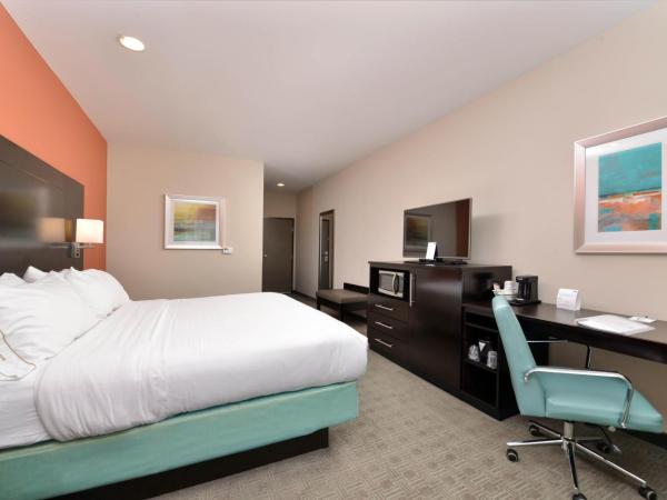 Holiday Inn Express & Suites Austin South, an IHG Hotel : photo 4 de la chambre chambre lit king-size standard