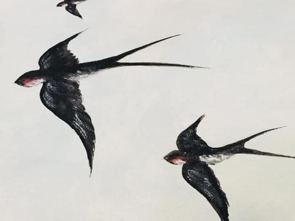 Agriturismo La Perlara - Adults Only : photo 3 de la chambre petite chambre double