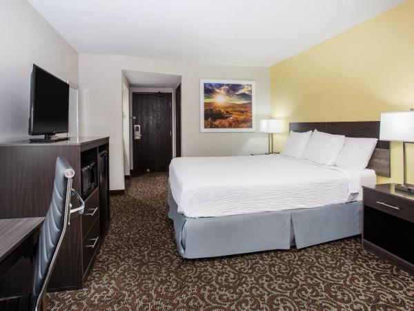Days Inn by Wyndham Phoenix North : photo 2 de la chambre chambre lit king-size - non-fumeurs