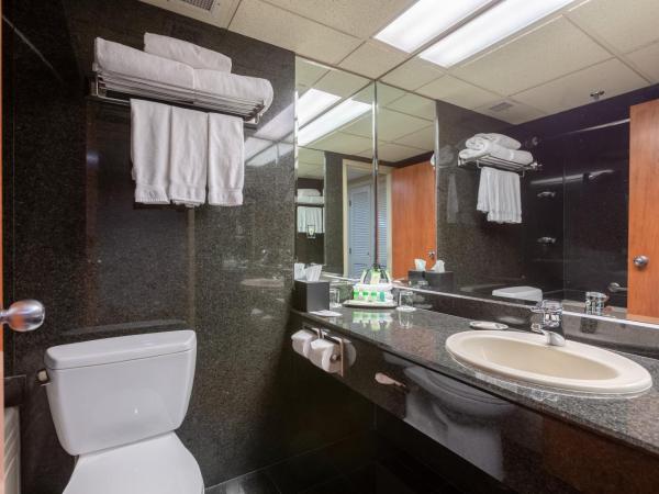 Banff Park Lodge : photo 3 de la chambre suite lit king-size exécutive