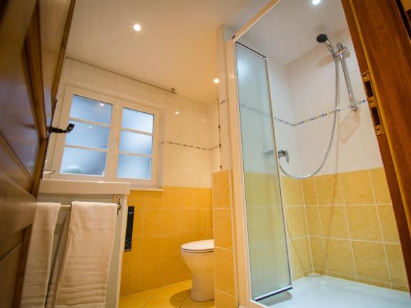 Gite **** des Bains : photo 7 de la chambre appartement avec douche