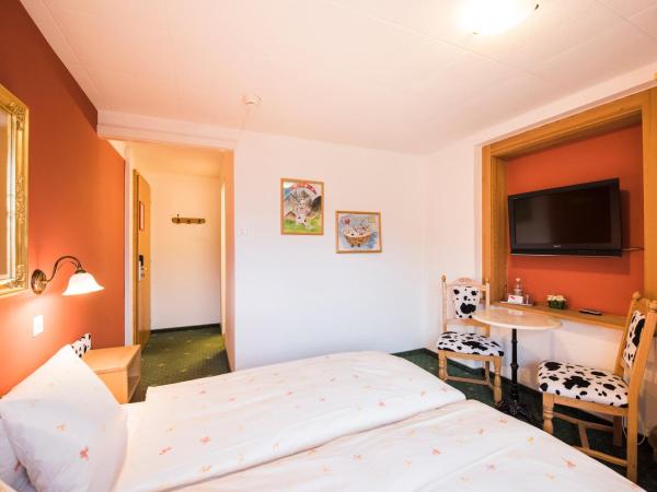 Hotel Brienzerburli : photo 5 de la chambre chambre double Économique