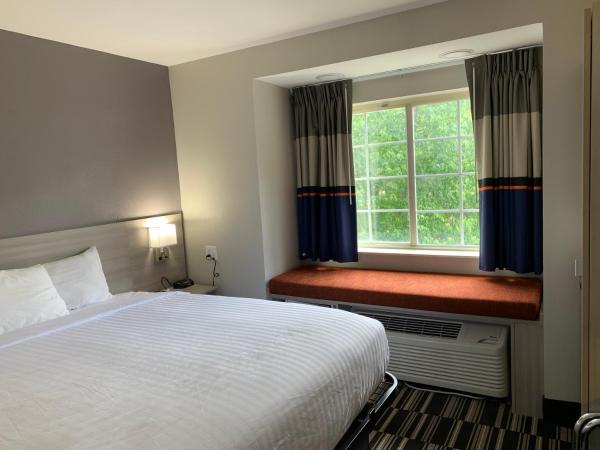 Microtel Inn by Wyndham Charlotte Airport : photo 9 de la chambre chambre lit king-size deluxe - non-fumeurs 