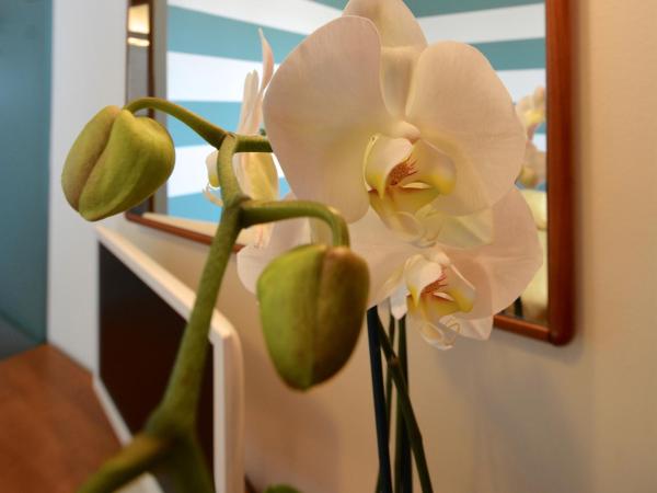 Astor Hotel : photo 2 de la chambre chambre triple