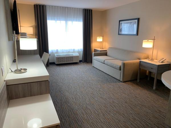 Wingate by Wyndham Kanata West Ottawa : photo 6 de la chambre suite lit king-size – non-fumeurs