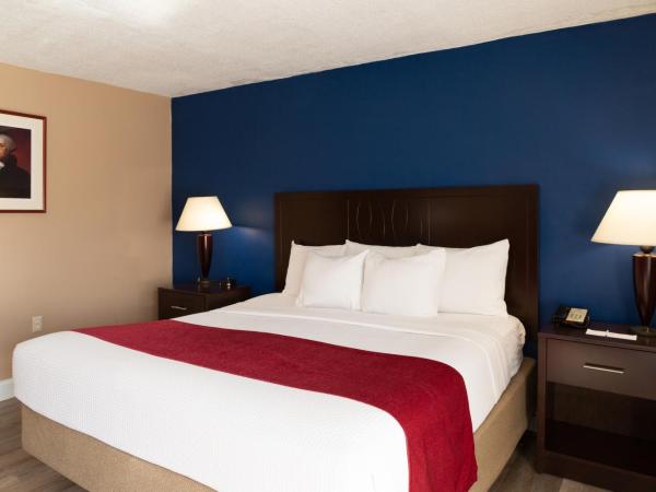 Hotel Pentagon : photo 9 de la chambre suite lit king-size – non-fumeurs