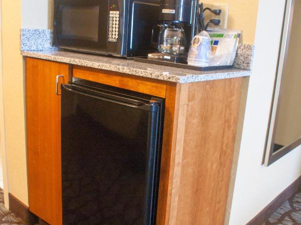 Holiday Inn Express & Suites Jacksonville South - I-295, an IHG Hotel : photo 1 de la chambre chambre standard