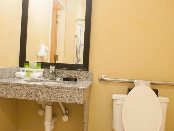 Holiday Inn Express & Suites Jacksonville South - I-295, an IHG Hotel : photo 3 de la chambre chambre lit jumeaux - douche accessible en fauteuil roulant - non-fumeurs