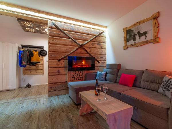 Apartamenty u Gąsieniców Zakopane : photo 9 de la chambre appartement deluxe