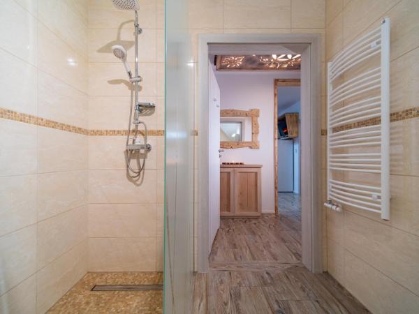 Apartamenty u Gąsieniców Zakopane : photo 1 de la chambre appartement deluxe