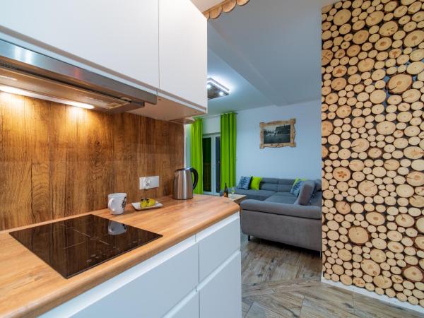 Apartamenty u Gąsieniców Zakopane : photo 2 de la chambre appartement avec vue sur la montagne