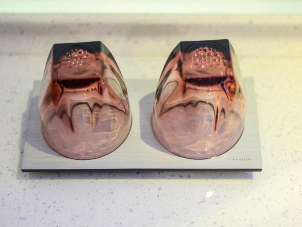 Lavande Hotel Chongqing Jiangbei Intemational Airport Teminal T3 Shop : photo 2 de la chambre chambre familiale