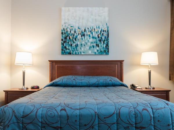 Adam's Airport Inn : photo 1 de la chambre chambre lit queen-size