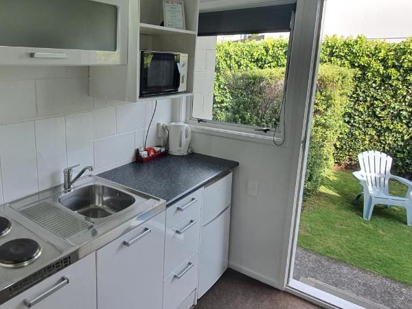 Accent On Taupo Motor Lodge : photo 3 de la chambre studio