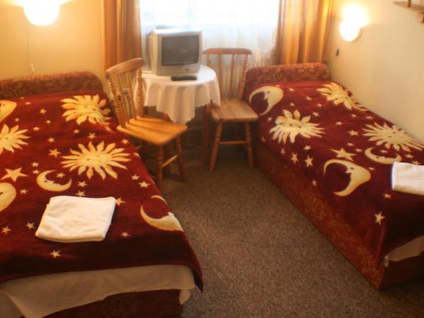 Hotel Daisy Budget : photo 1 de la chambre chambre lits jumeaux