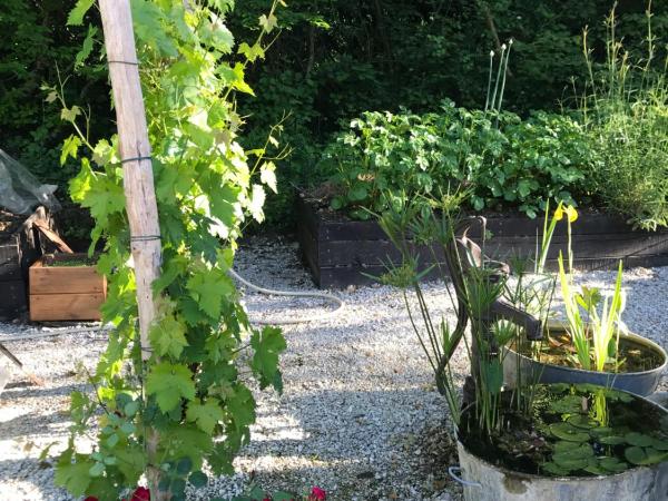 Chambre d'hôtes au calme avec spa : photo 1 de la chambre chambre double - vue sur jardin